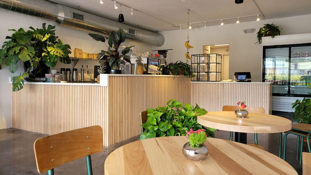 Siesta Key Coffee Shop Interior